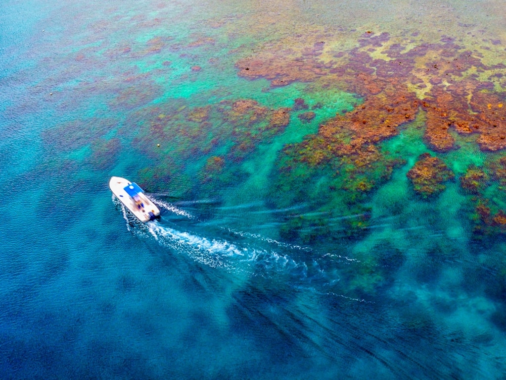 Roatan Vacation From Toronto