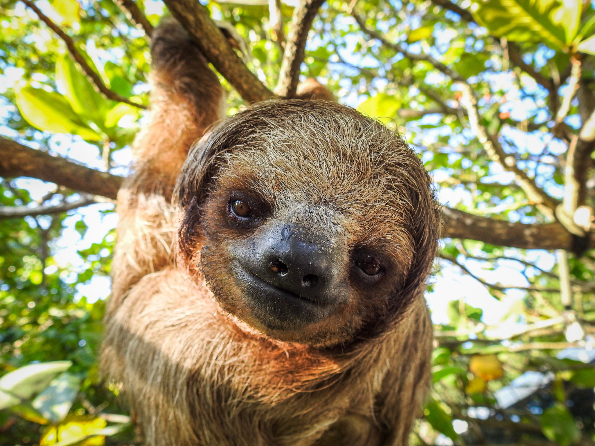Top Activities in West Bay Roatan