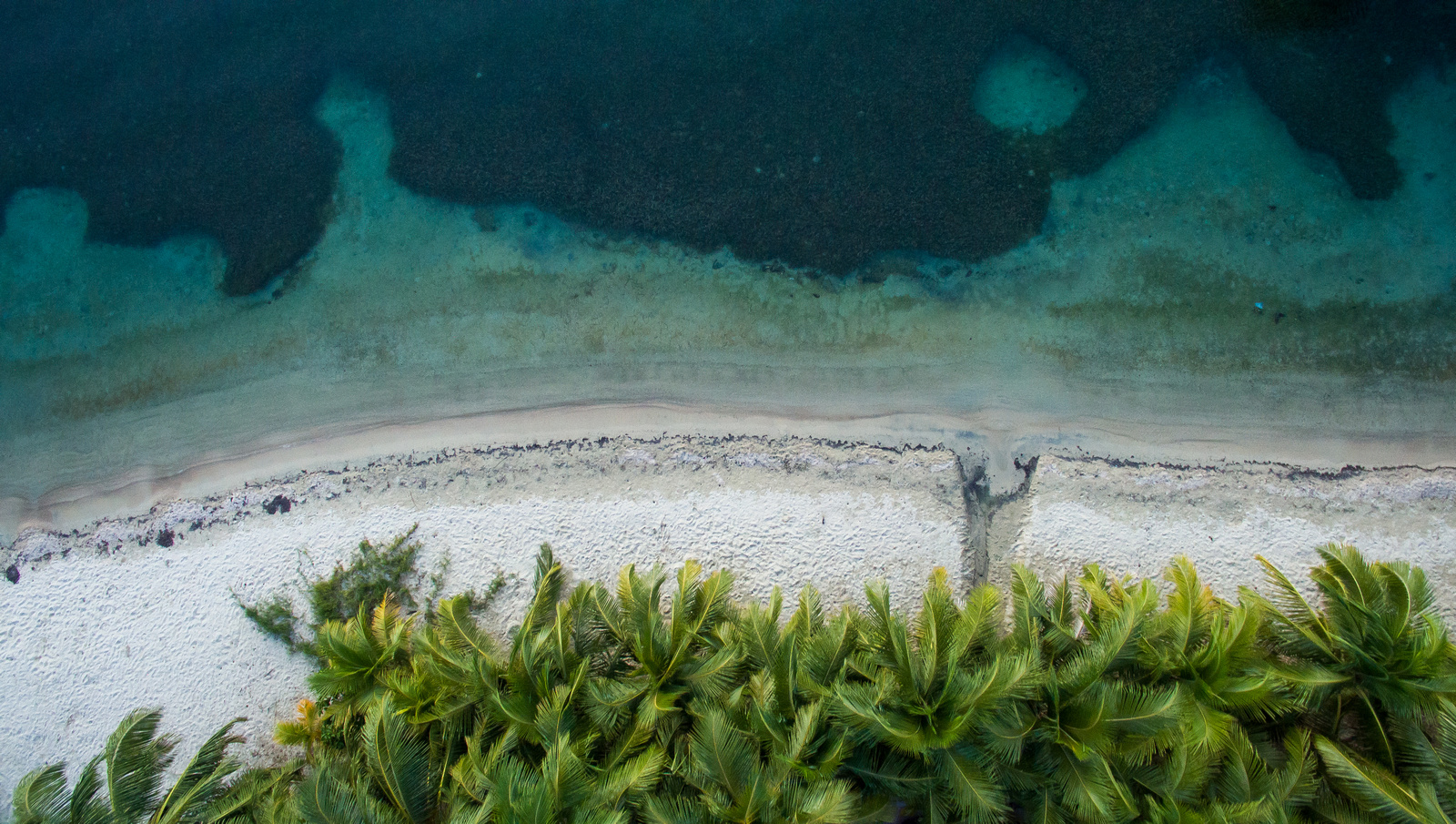 best things to do in roatan
